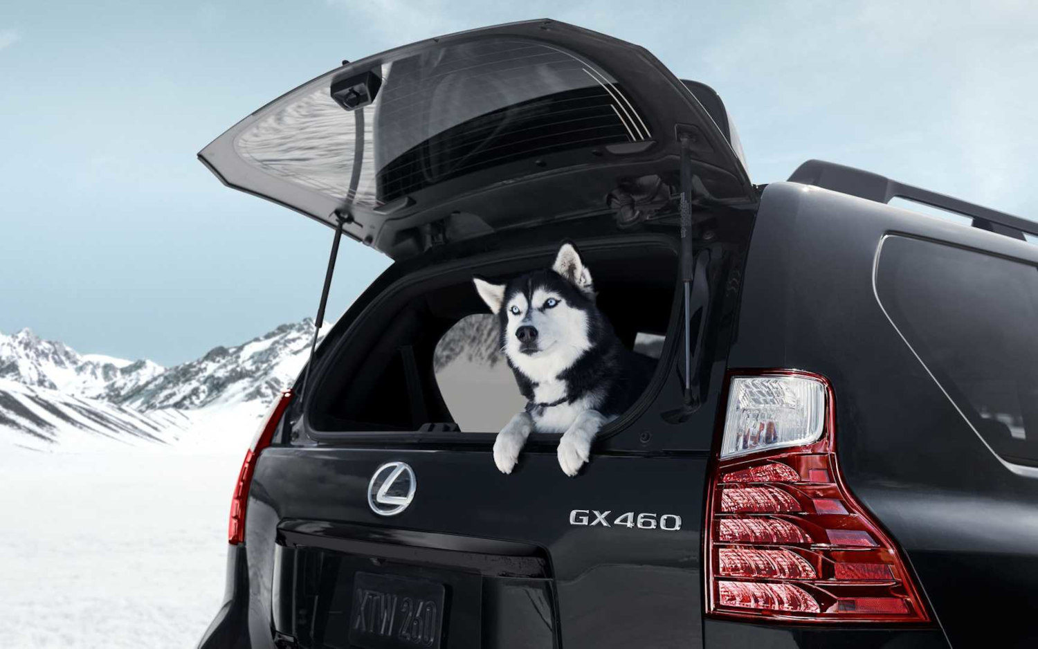 Comparison Lexus GX 460 Black Line 2022 vs Toyota Sequoia TRD PRO